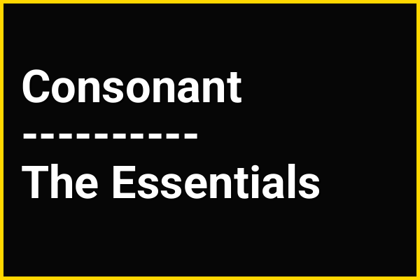 In the context of a syllable's structure, consonants are most accurately described as functioning as…
